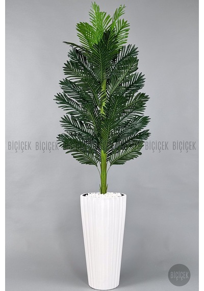 Yapay Areka Ağaci 220 Cm Beyaz Li Lyum Saksıda