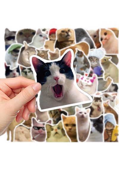 Çılgın Cats Sticker Seti Laptop Ajanda Notebook Tablet Telefon Defter Etiket Bullet Journal Diğer
