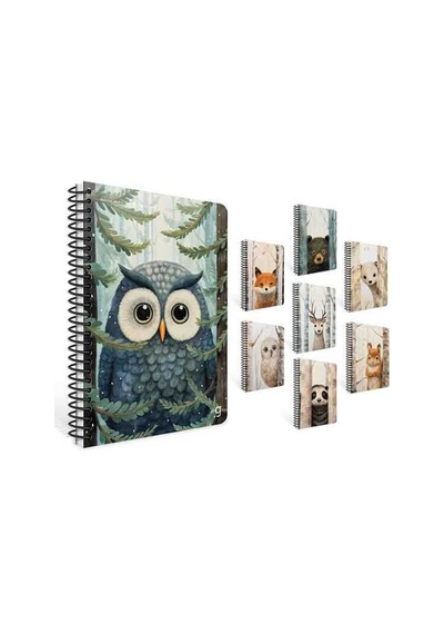 Gıpta A4 80 Yaprak Kareli Sneak Peek Spiralli Karton Kapak Defter 7291000 Standart