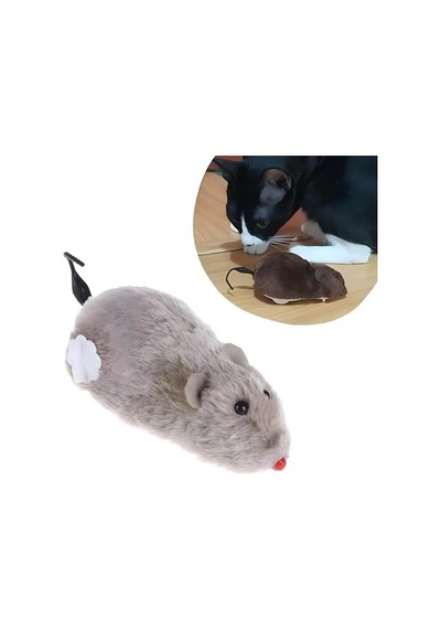 Anchovy Kuru Kedi Sı, Hamsili Balıklı, Düşük Tahıllı, Yetişkin, Tüm Irk Ve Boylar İçin, 1.5kg 100 G