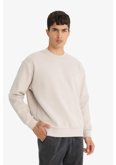 Defacto Relax Fit Bisiklet Yaka Sweatshirt E9536ax25aubg766 Bej