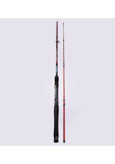Alesta Best Stıck 240 Cm 10-30gr 2pc Spin Kamış 1