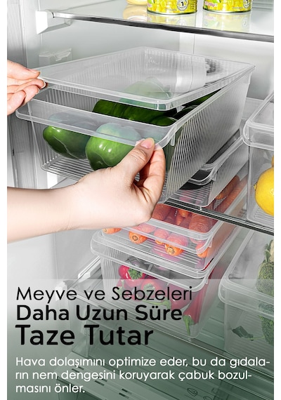 9'lu Kapaklı Buzdolabı Düzenleyici Set - Meyve Sebze Saklama Kabı Dolap İçi Organizer 3x 4-6-8 Lt Şeffaf