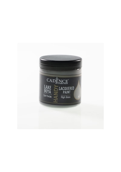 Cadence Handy Lake Boya L-057 Koyu Gri 250Ml