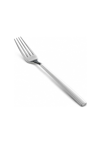 Yemek Çatalı, 6'li Paslanmaz Çelik Çatal Seti, Gümüş Metal 20 Cm, 6 Adet Çok Renkli