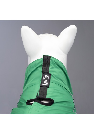 Lindo Dogs Quattro Nebula Köpek Yağmurluğu Yeşil Beden 5