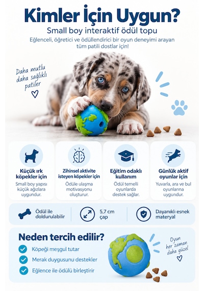 Petstages Orbee Ball Blue Köpek Ödül Oyuncağı Small
