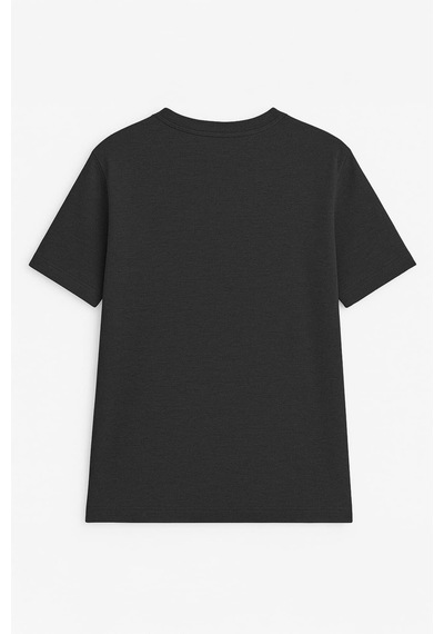 Erkek Bisiklet Yaka Basic Düz Kısa Kollu Gri T-shirt Çok Renkli