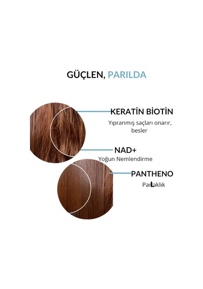 Lexroo Saç Kremi Nemlendirici & Onarıcı 300 Ml Nad+, Biotin, Keratin, Panthenol
