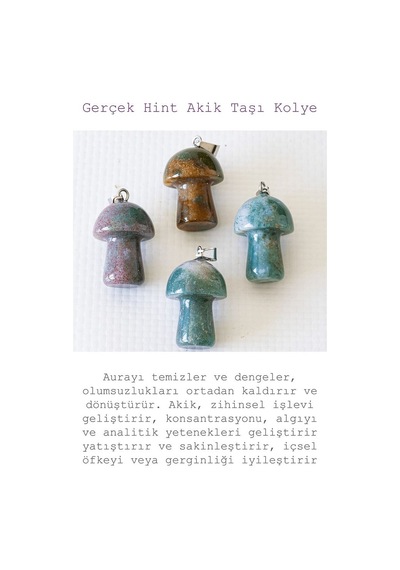 Sertifikalı Mantar Model Hint Akik Taşı Kolye Gümüş Aparatlı Çok Renkli