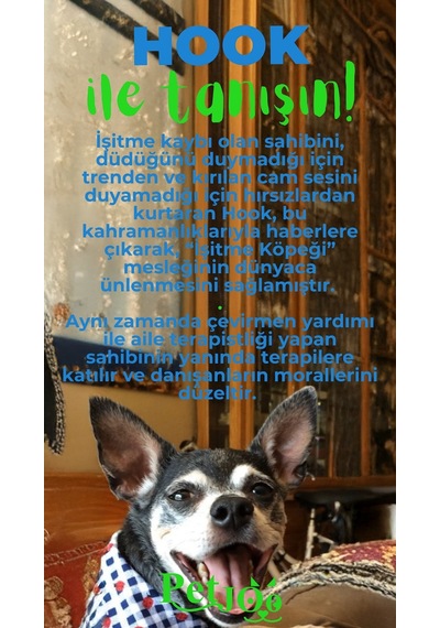 Petjoo 7.Hook Yeşil-Mavi Qr'lı Köpek Künyesi