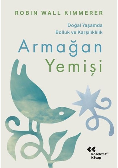 Armağan Yemişi - Aıaı-884125