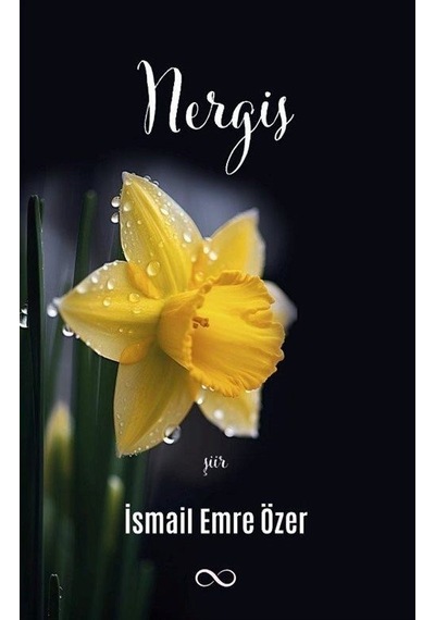 Nergis - İsmail Emre Özer - Bengisu Yayınları