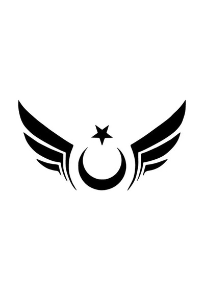 Kanatlı Türk Bayrağı Sticker Oto Motor Laptop Duvar Folyo Sticker 20x10 Cm