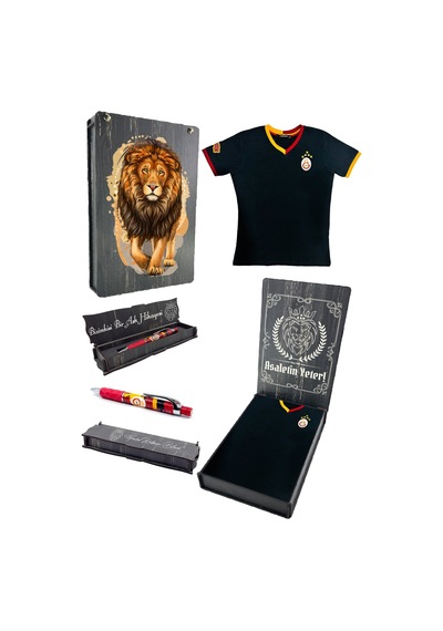 Galatasaray Lisanslı 5 Yıldızlı Siyah Basic Çocuk T-shirt + Uçlu Kalem Set Ahşap Kutulu Siyah