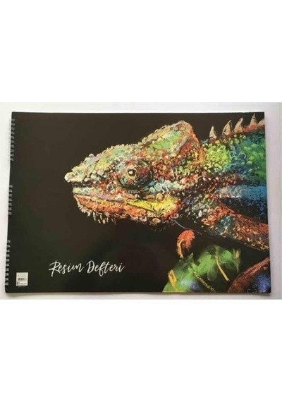Keskin Co. Basic Resim Defteri 35 50 15yp.