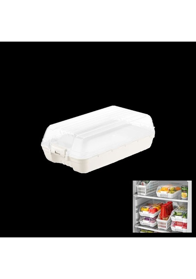 Şeffaf Kapaklı Buzdolabı Organizeri 320x183x103 Mm Renkli