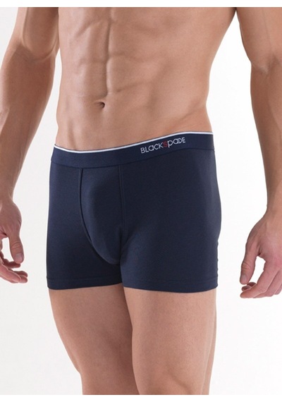 Blackspade Erkek Boxer 2Li Paket Stripes 9551 - Lacivert