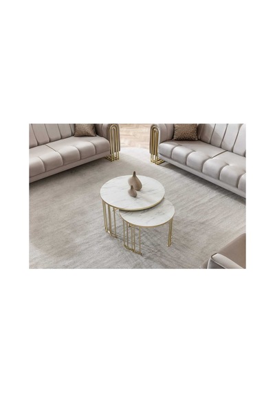 Usta Mekan Lotus Gold Marmo Lak Panel 1+1 Orta Sehpa Çok Renkli