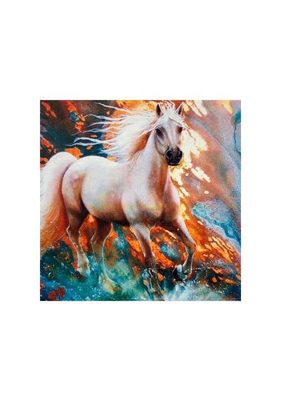 5d Elmas Boncuk Taş Işleme Mozaik Goblen Kit 30x30cm Ms24452 Diamond Painting
