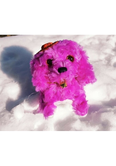 Sesli Işıklı Haraketli Pilli Köpek Köpekçik