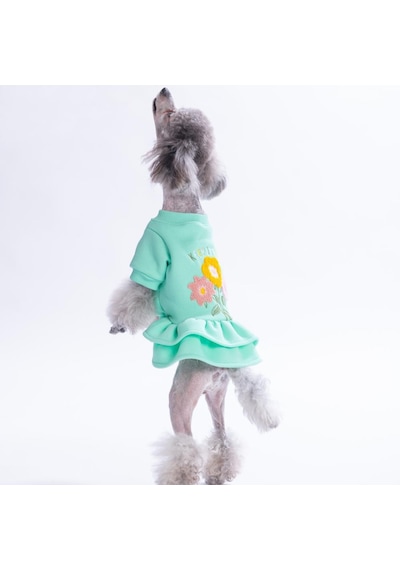 Mint Arosa Nivalis Çiçek Nakışlı Kedi Köpek Elbisesi Köpek Kıyafeti Kedi Kıyafeti