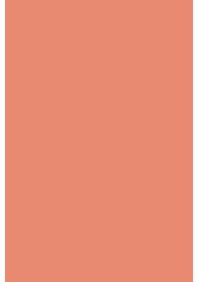 Flormar Mat Lipstick 10 Pale