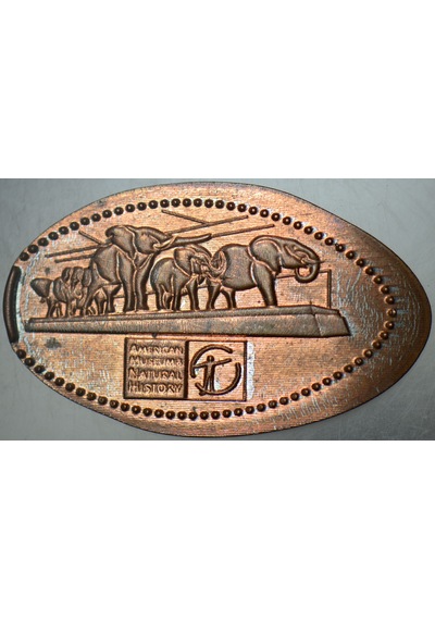 Amerika Doğal Tarih Müzesi Hatıra Pressed Coin.