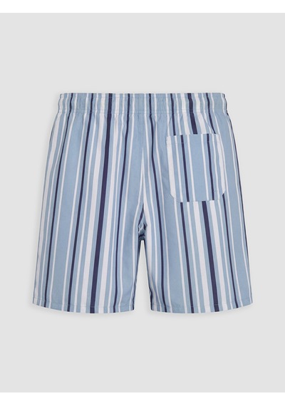 Lcw Swımwear Mavi Kısa Boy Çizgili Erkek Deniz Şortu