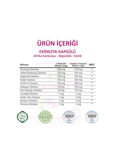 Gökçek Şifa 1000 MG Ekinezya (Echinacea Capsule) 60 Kapsül