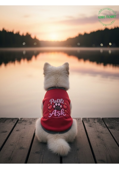 Kırmızı Renkli Patili Aşk Baskılı Kedi Ve Köpek Kıyafeti Tişörtü Elbisesi Medium/m/beden 2