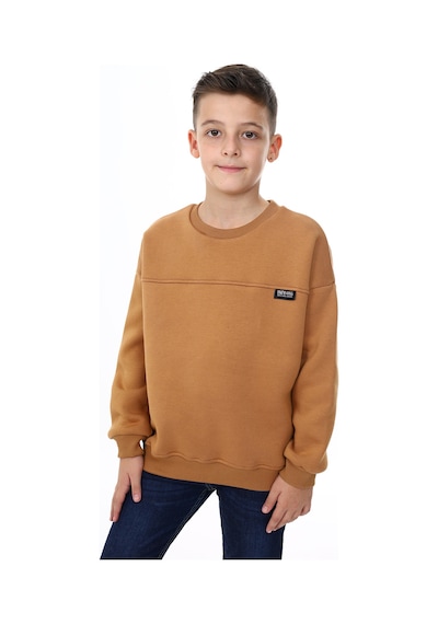 Toontoy Kids Toontoy Erkek Çocuk Sweatshirt Kahverengi