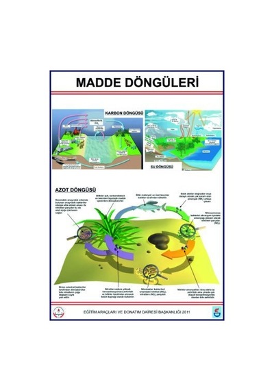Madde Döngüleri Lev. Karbon. Azot ve Su Döngüleri-70X100CM