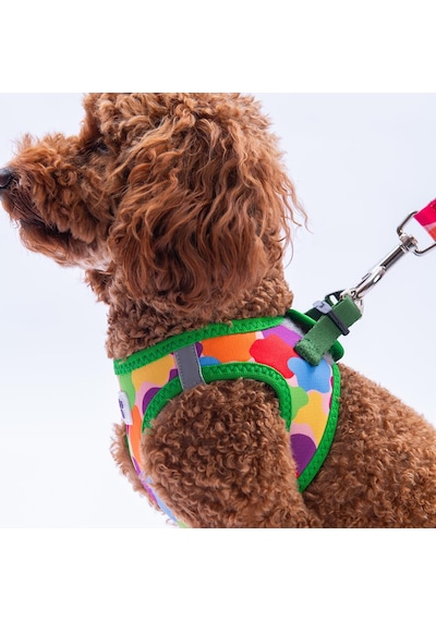 Rainbow Crew Göğüs Tasması Ve Sevk Kayışı Tasma Seti Renkli Kedi Köpek Göğüs Tasması Seti M Çok Renkli