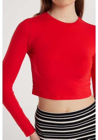 Tudors Kadın Slim Fit Pamuklu Düz Bisiklet Yaka Kırmızı Bluz-33731 Kırmızı Tudors Kadın Slim Fit Pamuklu Düz Bisiklet Yaka Kırmızı Bluz-33731 Kırmızı