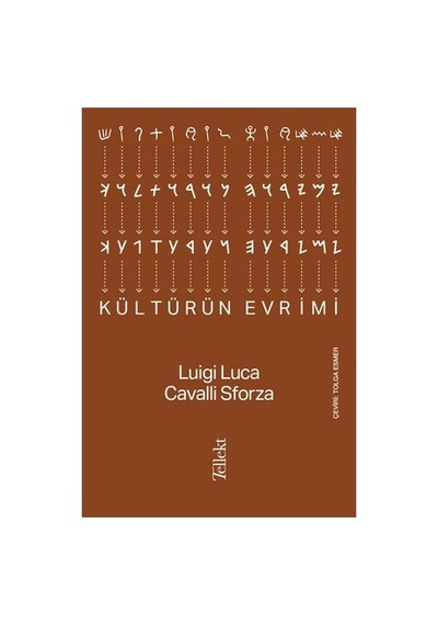 Kültürel Çeşitlilik Ve Değerler Üzerine