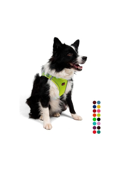 Tailpetz Air-mesh Küçük Ve Orta Irk Kedi Köpek Göğüs Tasması - Yumuşak, Nefes Alabilir, Dayanıklı Neon-sarı, Xlarge Sku: Zeusb097lv5gcd Açık Bej - Bej