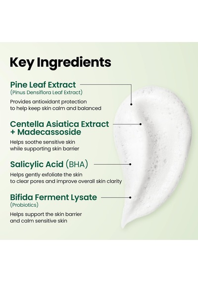 Ksecret Seoul 1988 Cleansing Foam Pine Cica Yüzde Bir Ve Probiotics