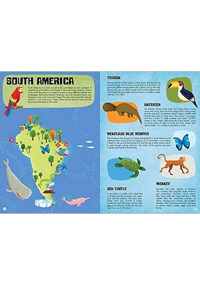 The World Of Animals Mavi