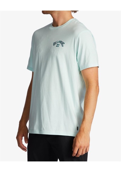 Billabong Arch Fill Ss Erkek Tişört Abyzt01696-Sgl