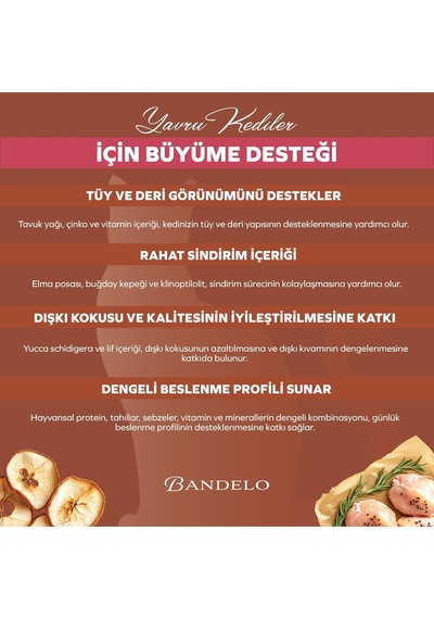 Yavru Tavuklu Kuru Kedi Maması 2 Kg - Vitamin İlaveli Tam Ve Dengeli Besleyici, Yüksek Hayvansal Protein İçerikli Kuru Mama