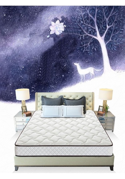 60 x 120 Midilife Coton Ortopedik Yaylı Yatak Yaylı Yatak 60 x 120