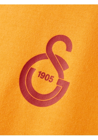 Gsstore Galatasaray Puma T-shirt 78290706 Sarı