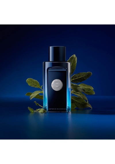 The Icon Edt 100 Ml Erkek Parfüm Diğer