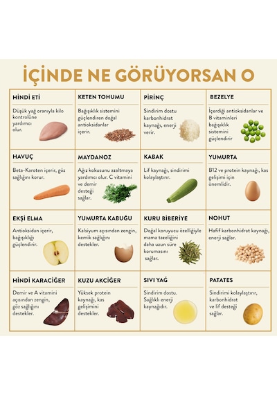 Kito Fresh Hindi Etli Taze Yetişkin Köpek Yemeği 250 G