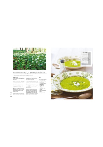 The Forager S Kitchen Handbook: Foraging Tips And Over 100 Recipes Using What You Can Find For Free