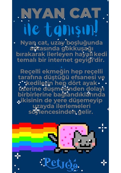 Petjoo 2.Nyan Cat Mavi-Gri Qr'lı Kedi Künyesi