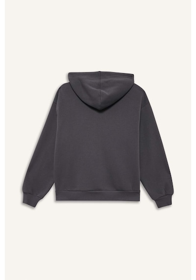 Defacto Relax Fit Kapüşonlu Sweatshirt C1809ax26spar191 Antrasit-ar191