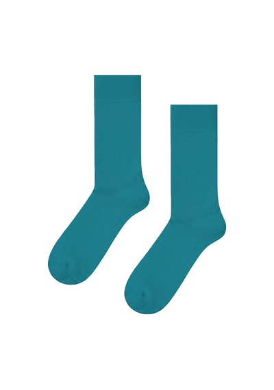 Carnaval Socks Mint Yeşili Renkli Pastel Çorap Çok Renkli