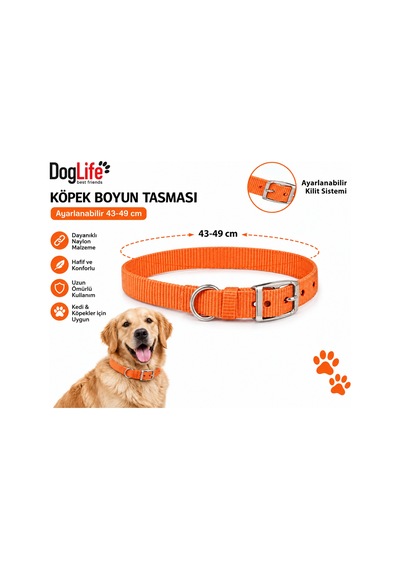 Köpek Boyun Tasması 43-49 Cm Ayarlanabilir Naylon Metal Tokalı - Turuncu Çok Renkli
